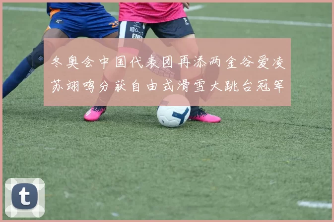 冬奥会中国代表团再添两金谷爱凌苏翊鸣分获自由式滑雪大跳台冠军