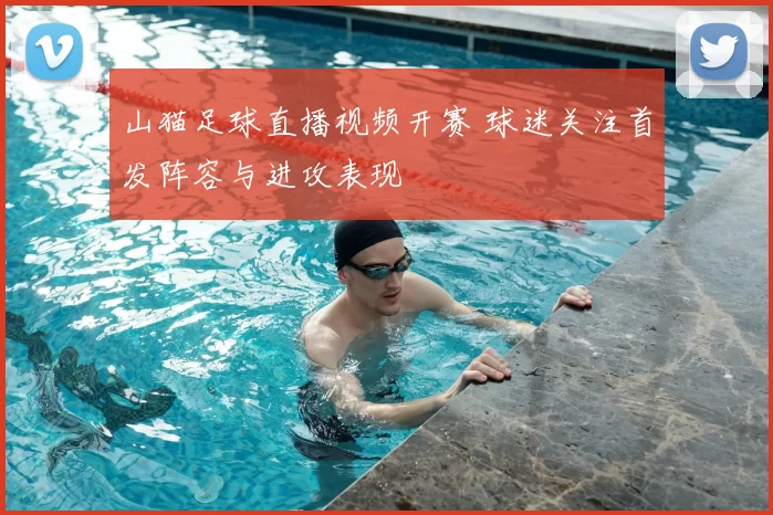 山猫足球直播视频开赛 球迷关注首发阵容与进攻表现