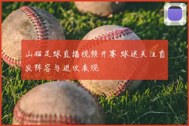 山猫足球直播视频开赛 球迷关注首发阵容与进攻表现