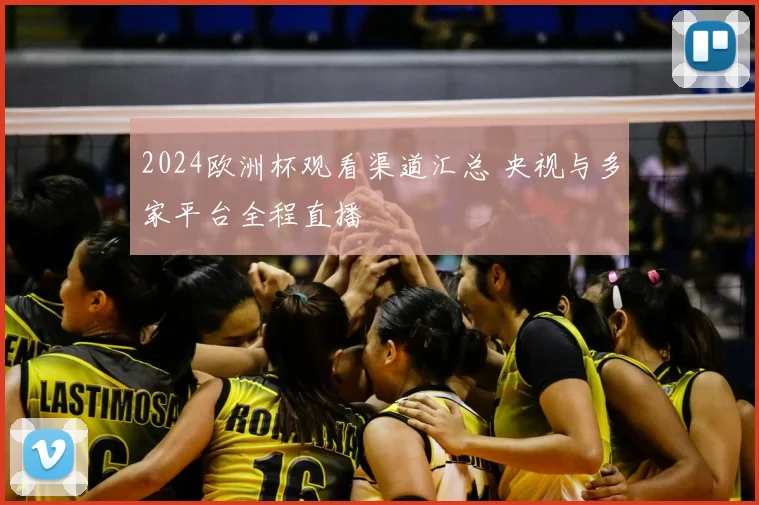 2024欧洲杯观看渠道汇总 央视与多家平台全程直播