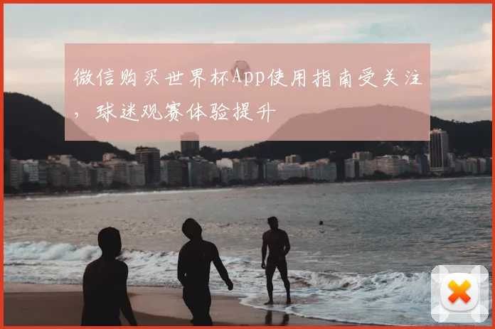 微信购买世界杯App使用指南受关注,球迷观赛体验提升