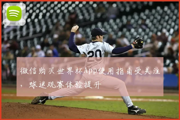 微信购买世界杯App使用指南受关注，球迷观赛体验提升