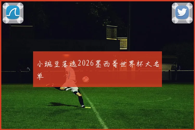 小豌豆落选2026墨西哥世界杯大名单