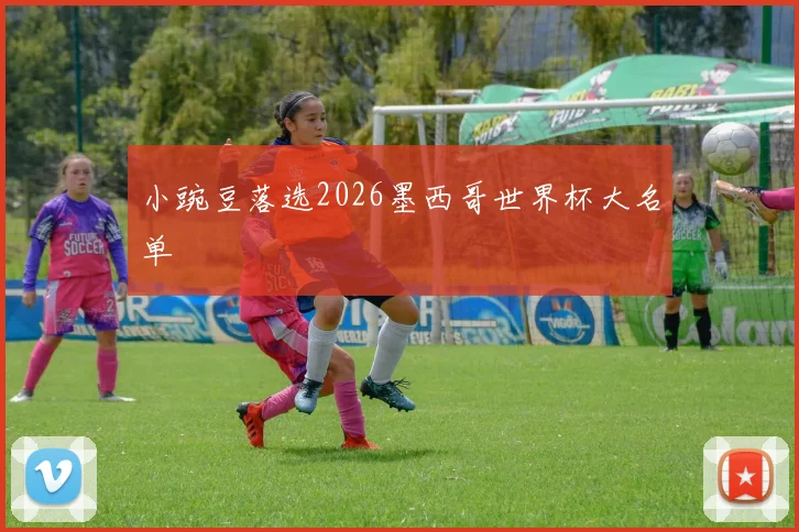 小豌豆落选2026墨西哥世界杯大名单