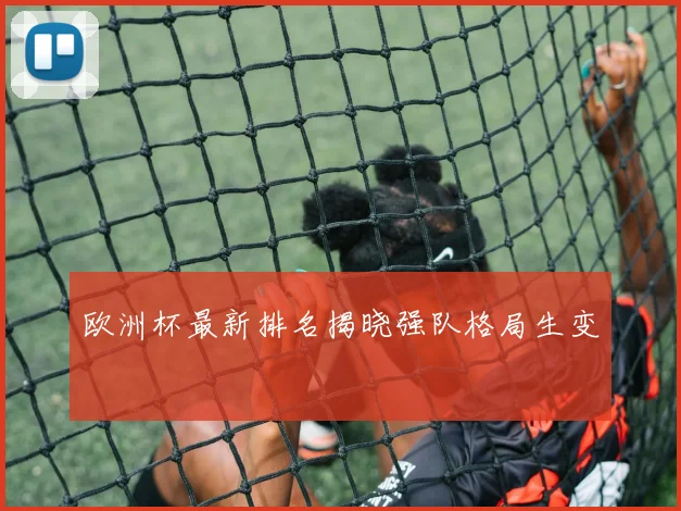 欧洲杯最新排名揭晓强队格局生变