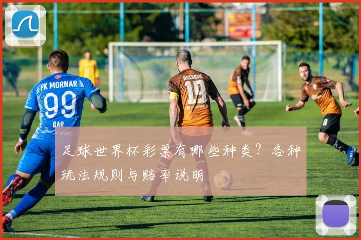 足球世界杯彩票有哪些种类?各种玩法规则与赔率说明